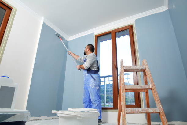 Morrisville, NC Mold Removal Company